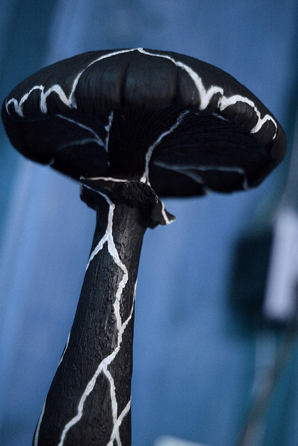 Thumbnail for Saturnine Mushroom