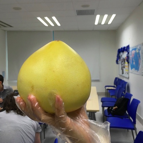 🇨🇳 Food I Remembered to Photograph On My Travels To and Thru China