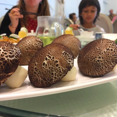 🇨🇳 Food I Remembered to Photograph On My Travels To and Thru China